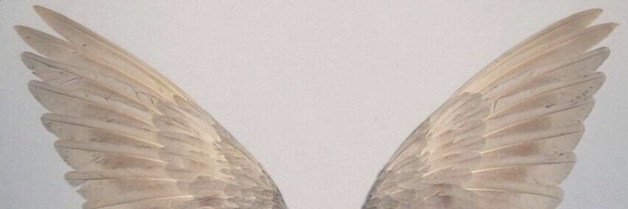 sullxuri's profile banner image