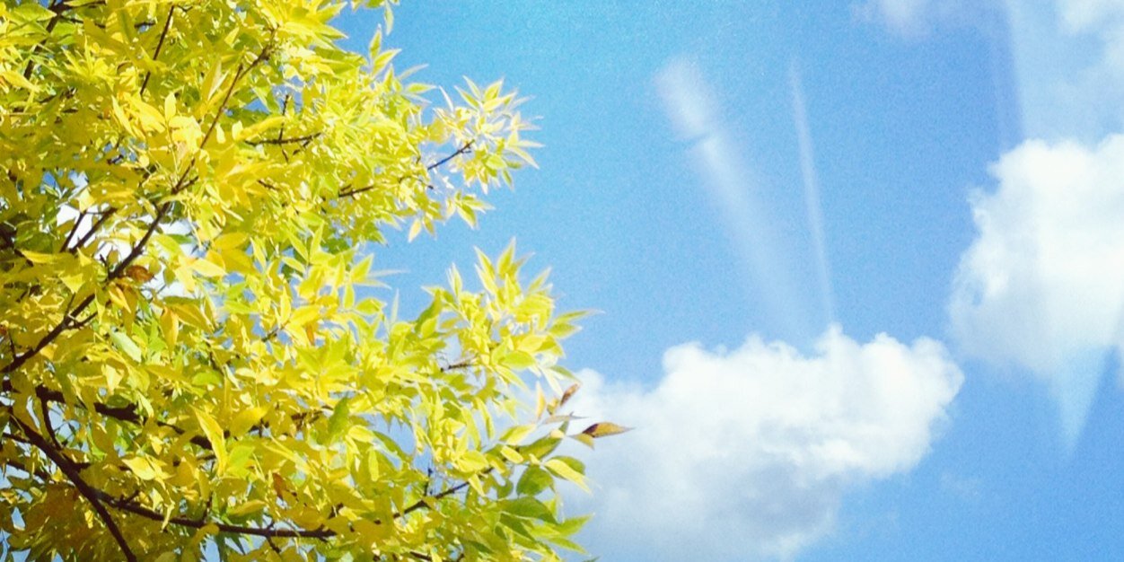 EileenSilva1's profile banner image