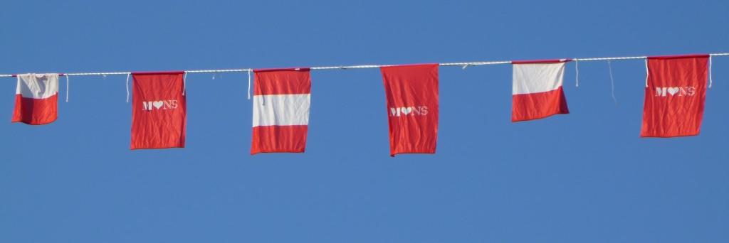 Mons en Vert banner