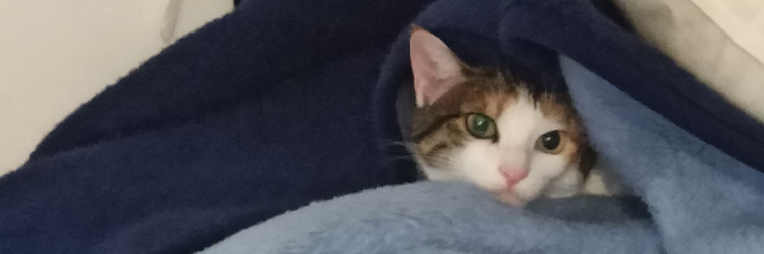 Kendra_204's profile banner image