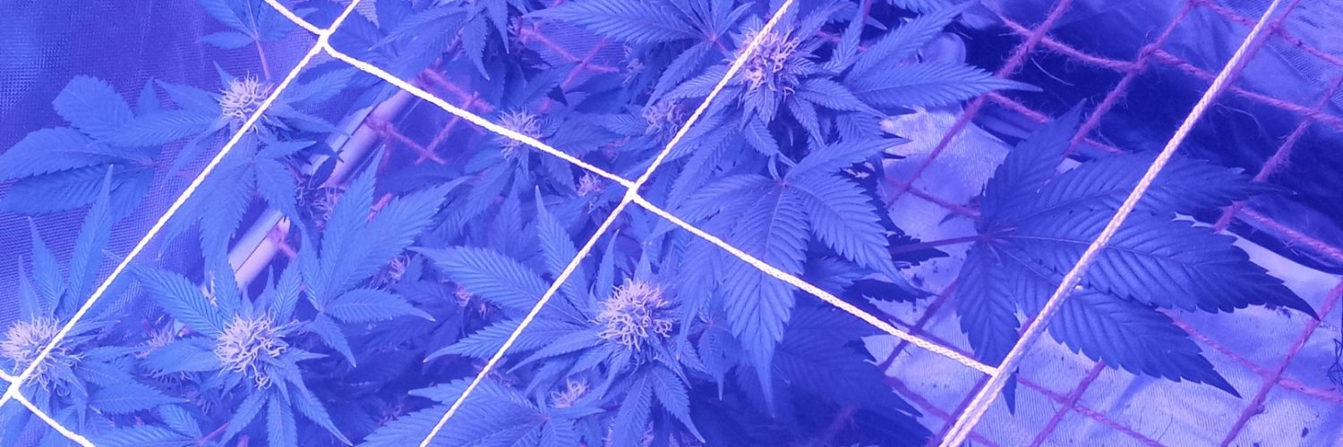 Jezzjoe's profile banner image
