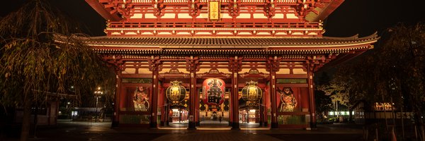 merlinvicki Profile Banner