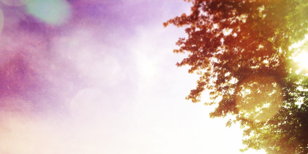 DaanHutting's profile banner image