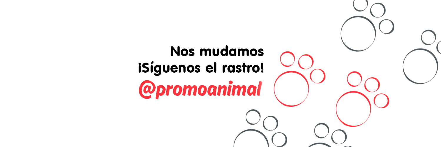 Promo_Animal's profile banner image