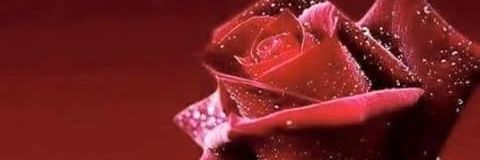 MakesNavarro's profile banner image