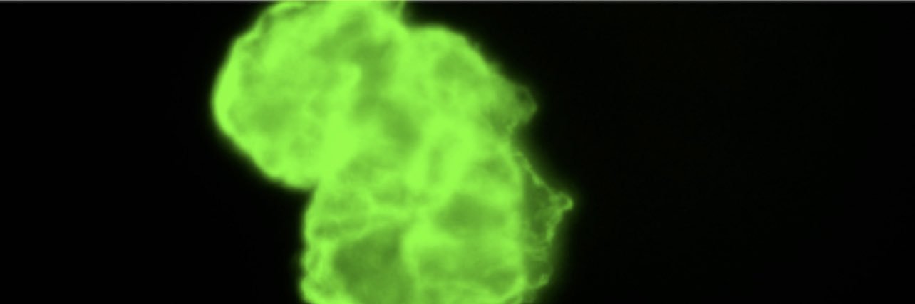 destroypattern's profile banner image