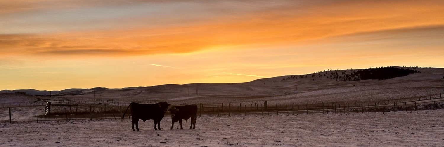 mrowe1324's profile banner image