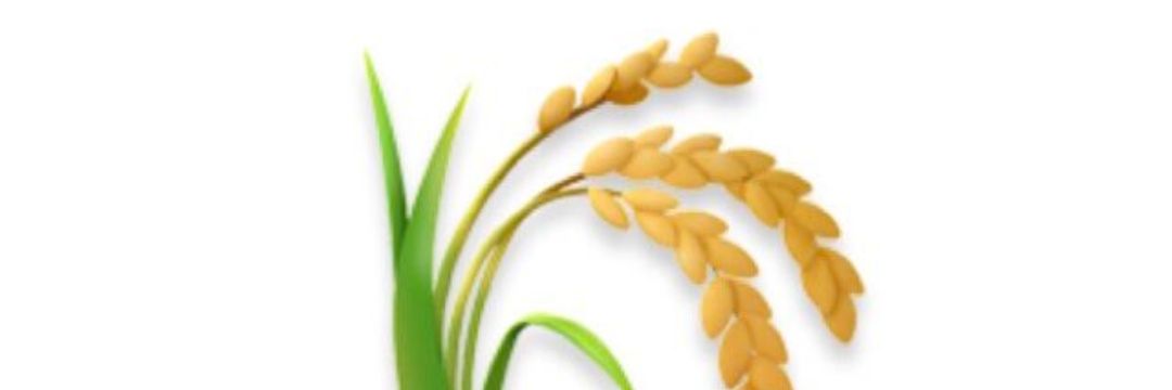 ACBraga2012's profile banner image