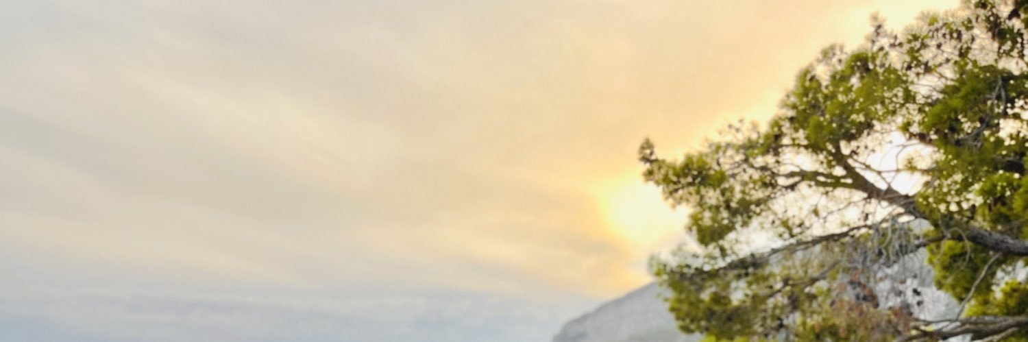 Erica Natal banner