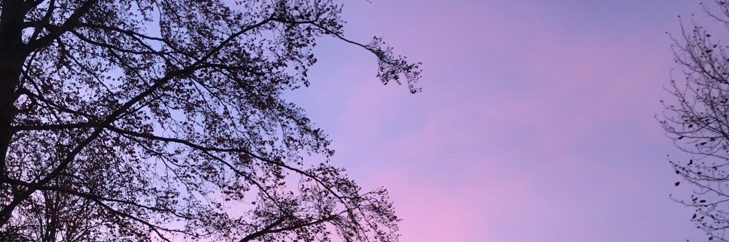clara_dsg's profile banner image