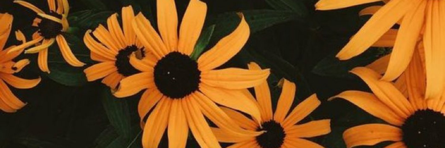FernandezMilly's profile banner image