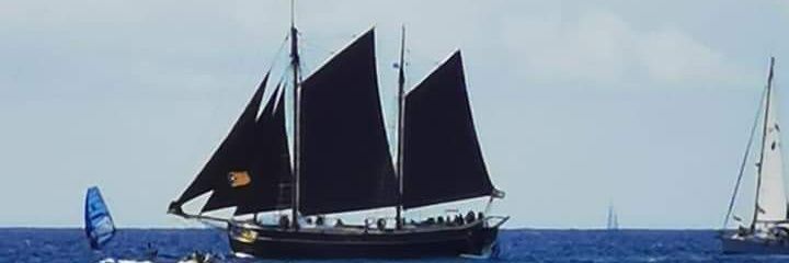 lfg1968lfg's profile banner image