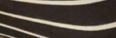 hah560's profile banner image