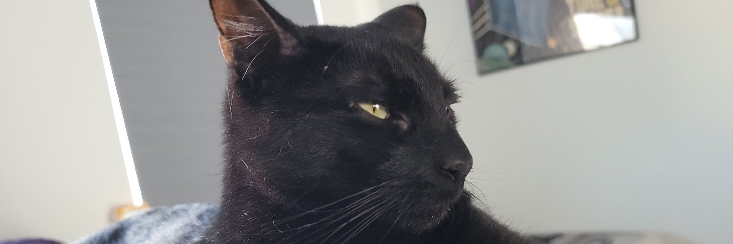 BitzLeon's profile banner image