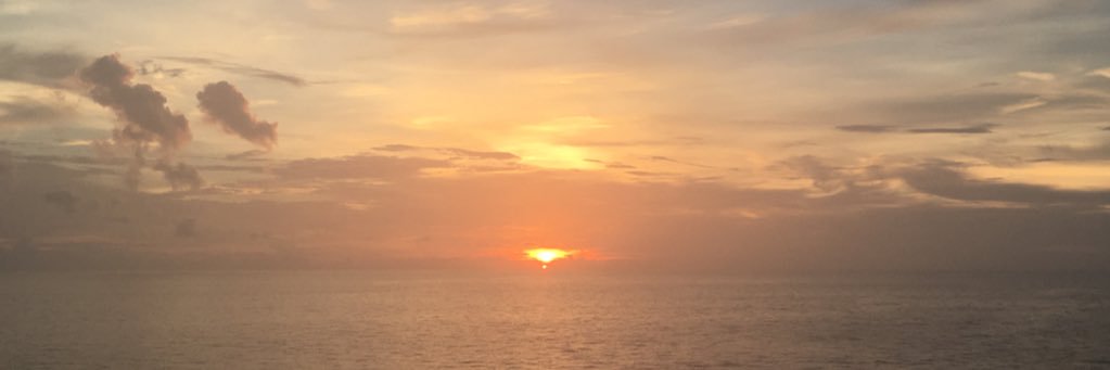 haleyables11's profile banner image