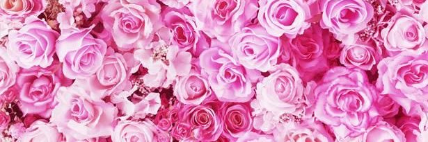 ravinder_1's profile banner image
