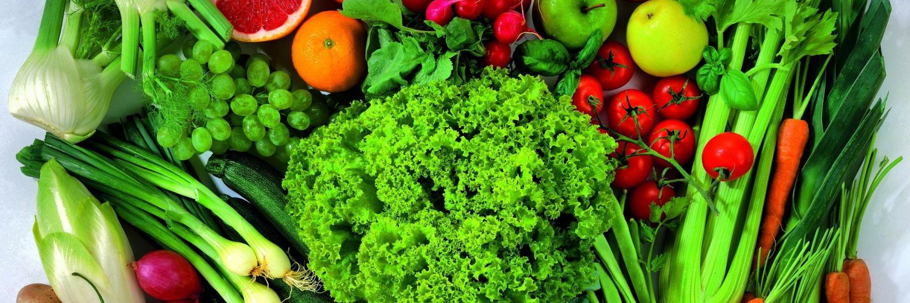 In2foodSA's profile banner image