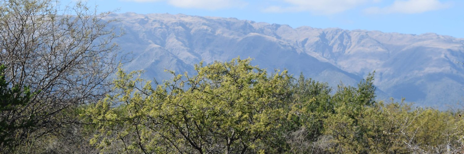 danielcabello's profile banner image