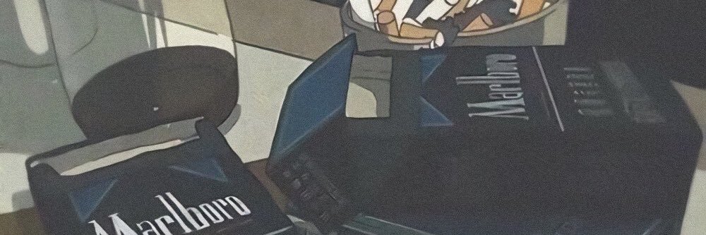 Wednass's profile banner image