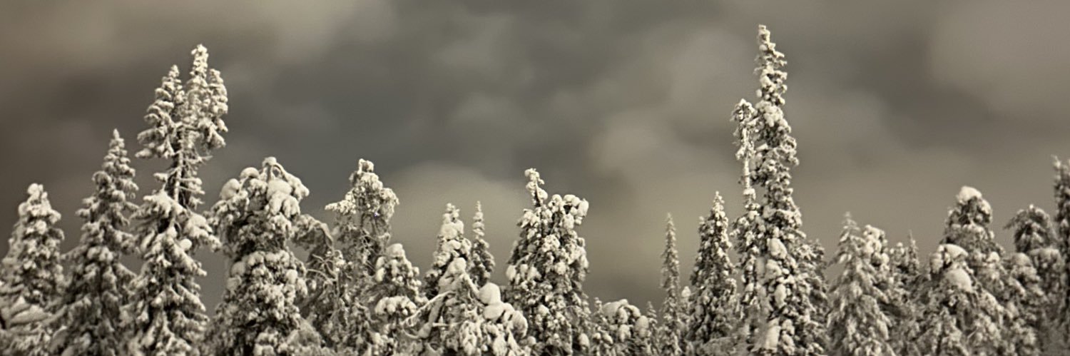 saaI3m's profile banner image
