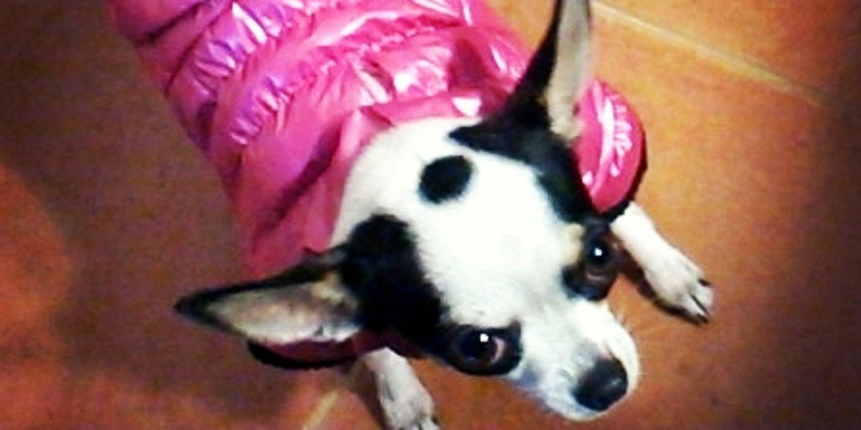aranda_raisa's profile banner image