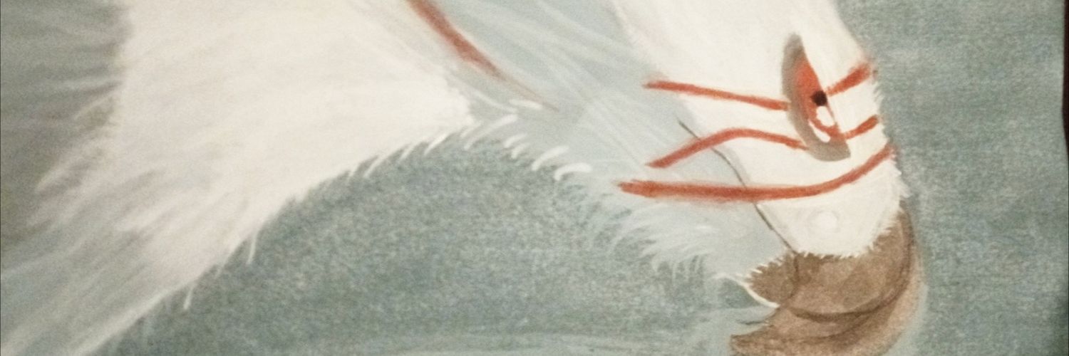 Zoe banner