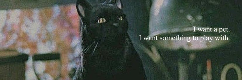BringMichDahin's profile banner image
