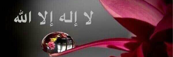 Mmhalobaid's profile banner image