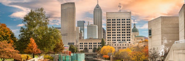 Mary Perry Evans banner