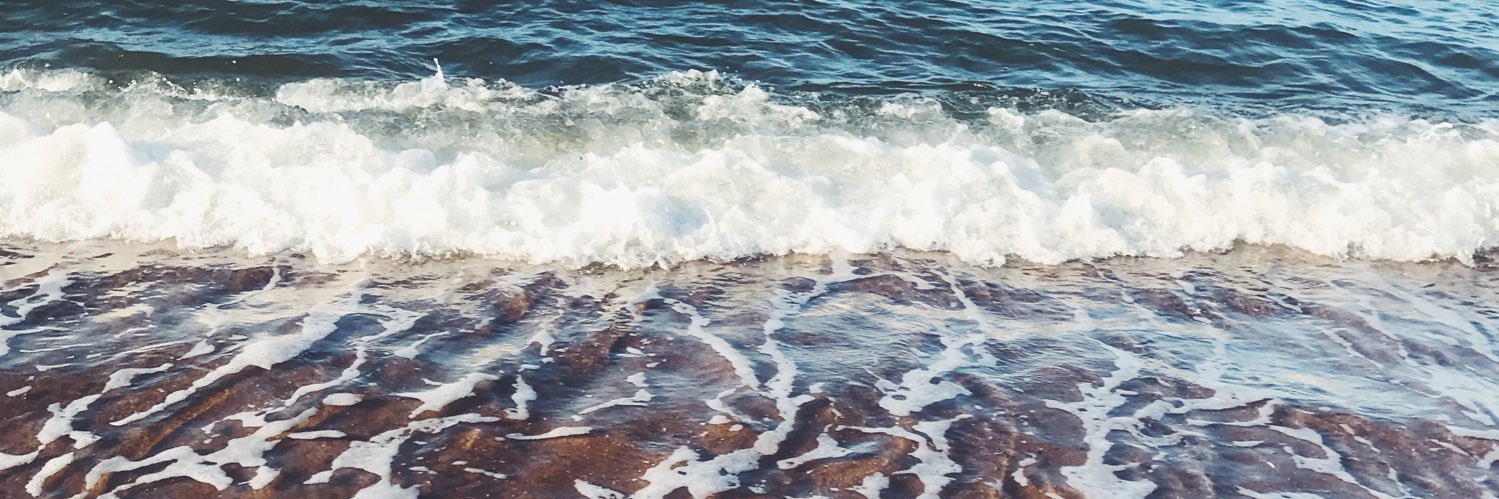 daniellegrega's profile banner image