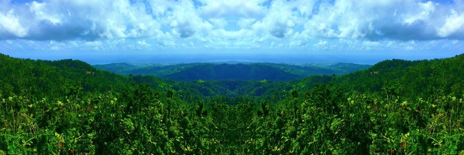 PastaisLoveBook's profile banner image