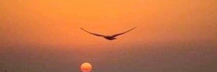 arianways's profile banner image
