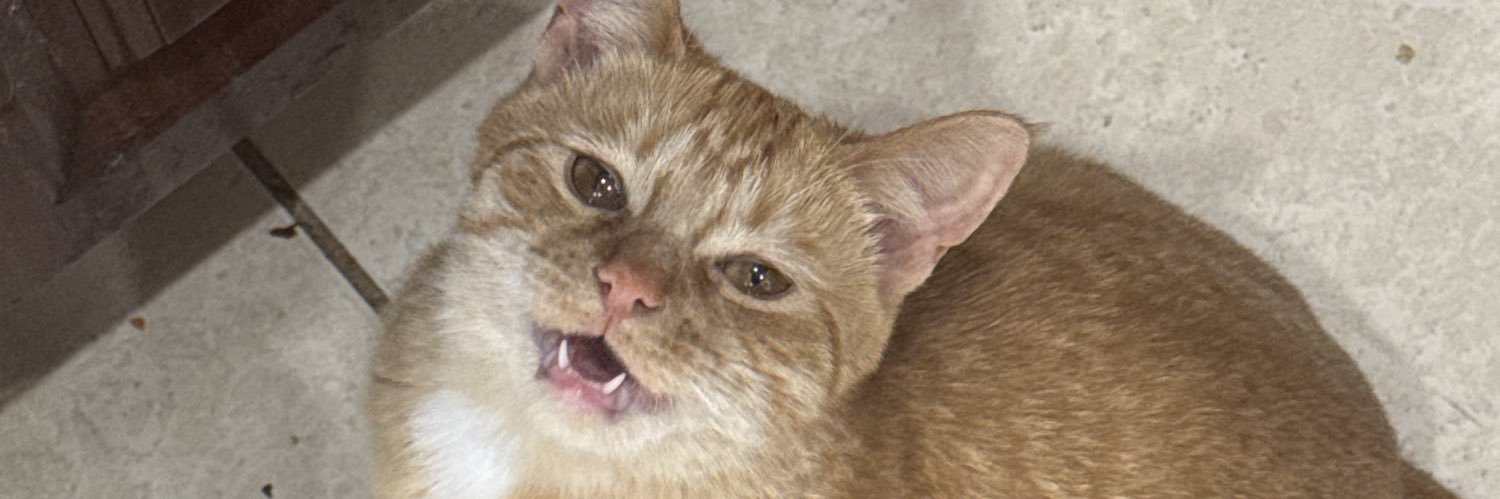 IGotchuDizzy's profile banner image