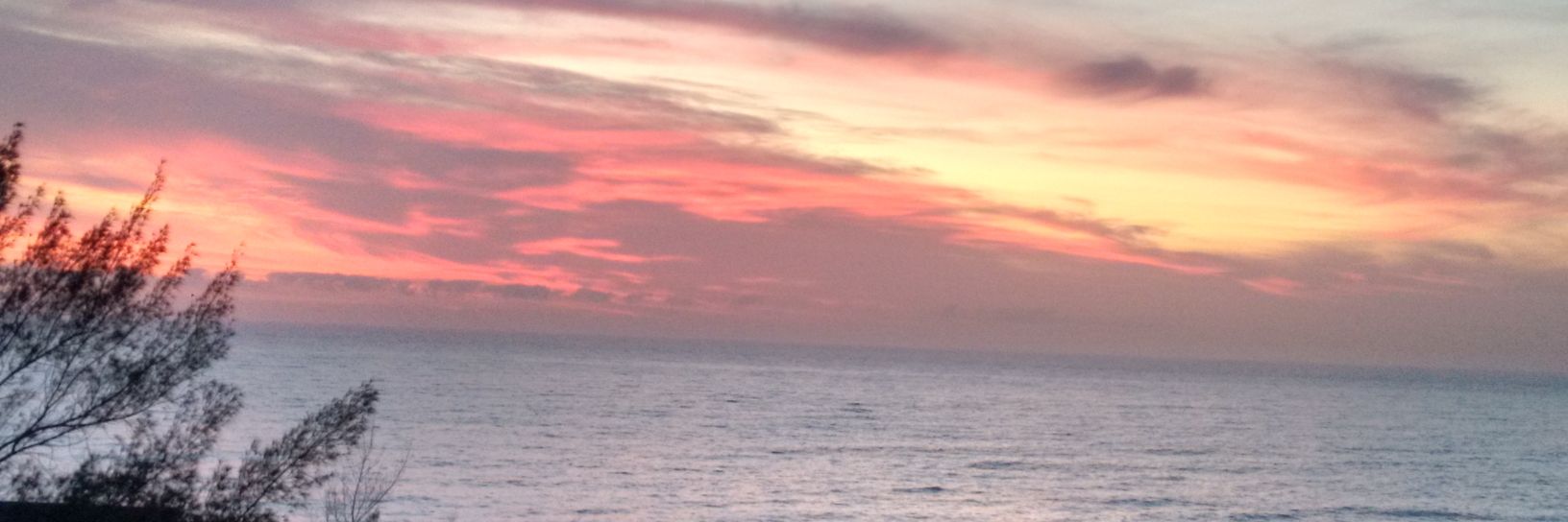 BARBARALSBASTOS's profile banner image