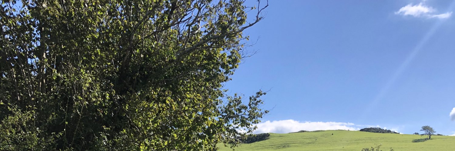 gillybilly73's profile banner image