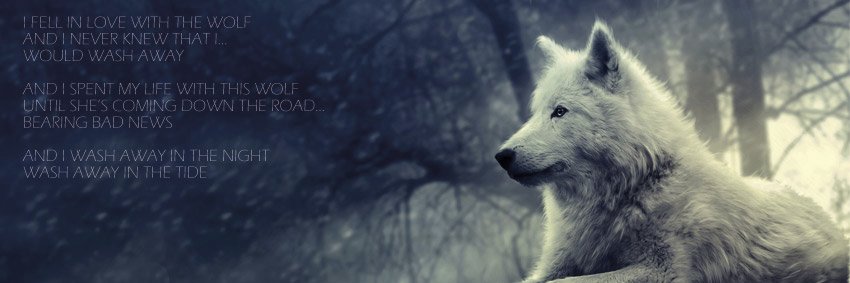 Rising_Chaos's profile banner image