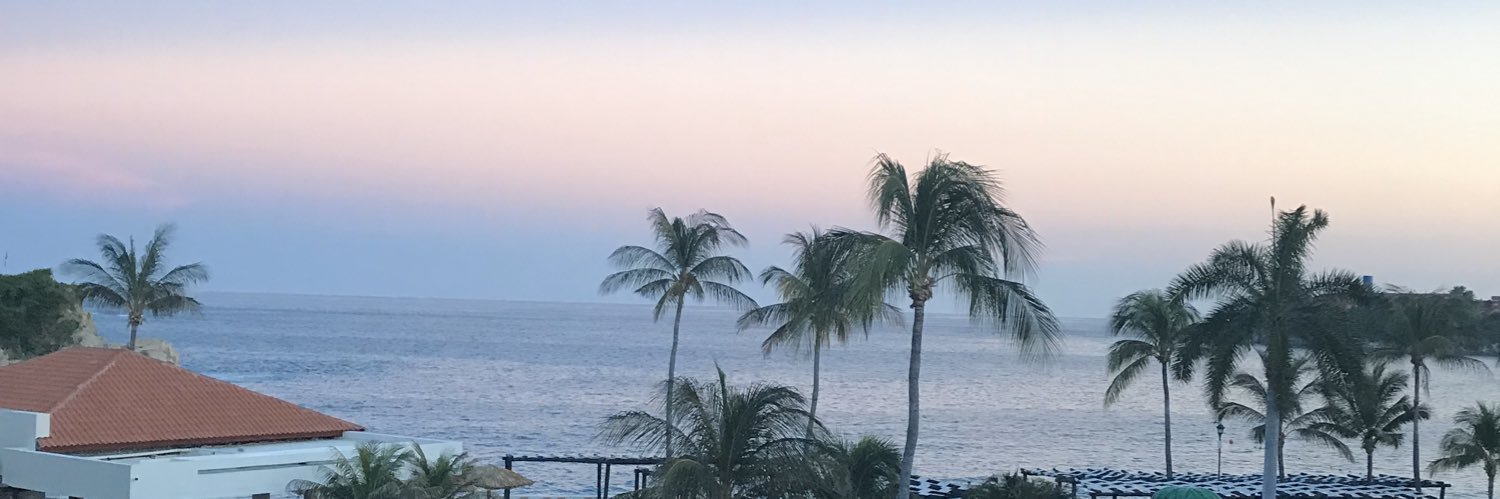 TaniaAlGo's profile banner image