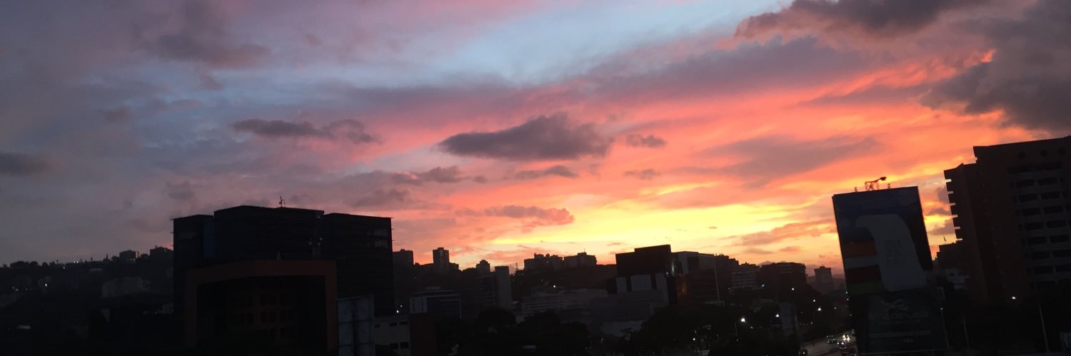 FlaviaContreras's profile banner image