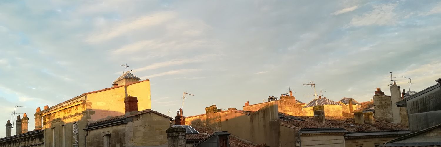 LFaliere's profile banner image