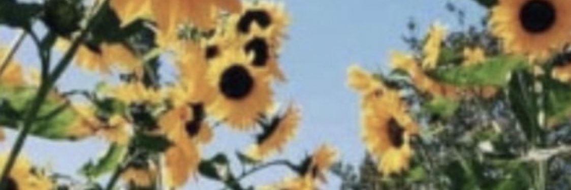 dmalterrr's profile banner image