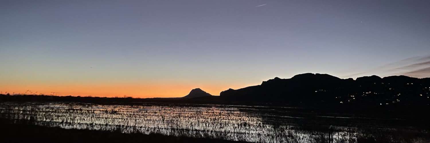 Ignatas Konovalovas banner