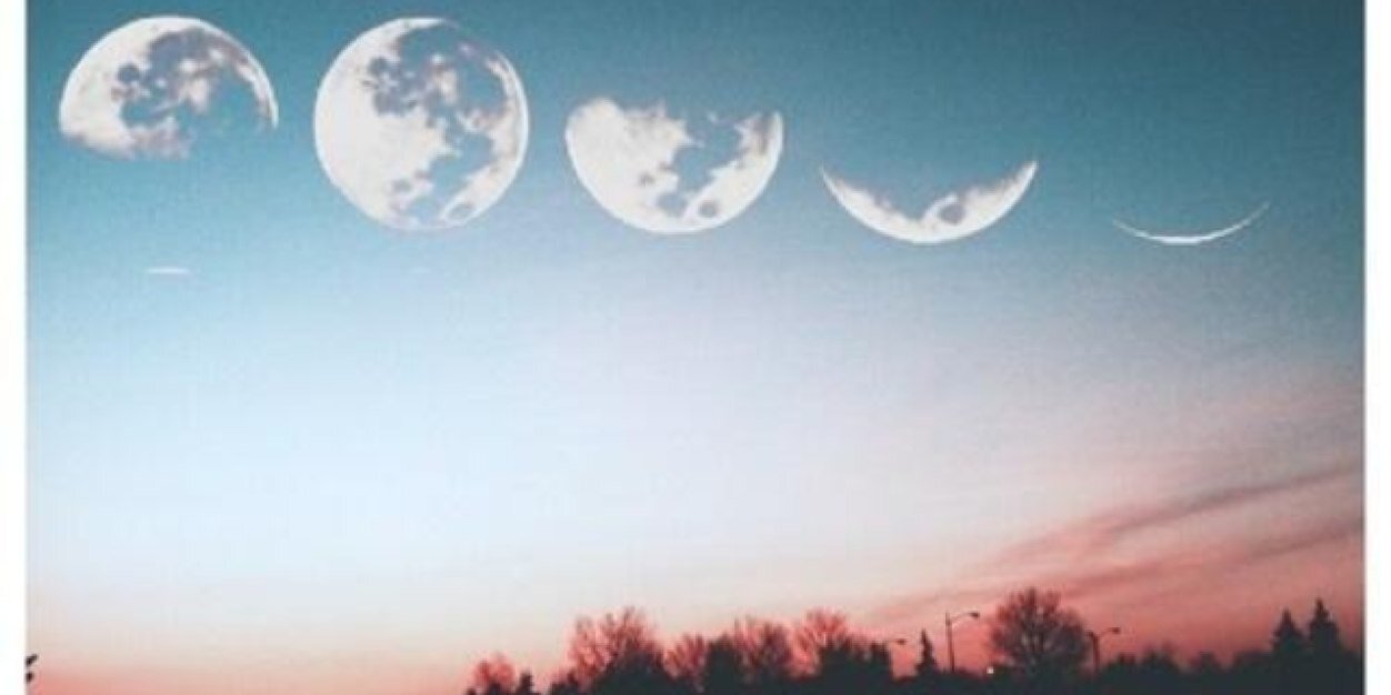 Stan Tucci, Turtleneck Guru banner