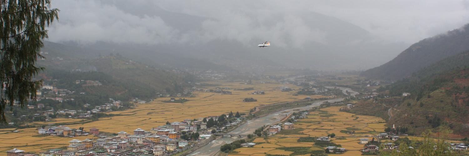 Camille Chenevoy banner