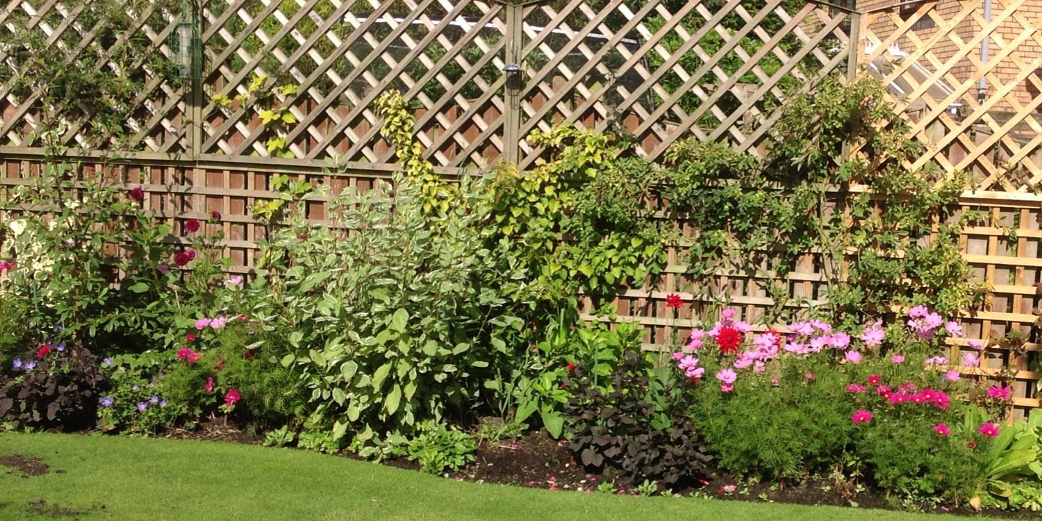 Angela Talbot💙 banner