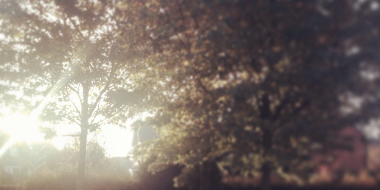 Lea_BVB's profile banner image