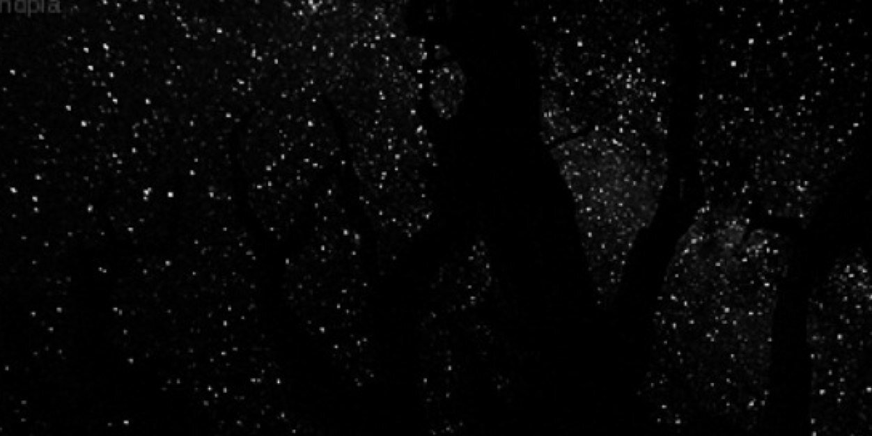 Roritta_2's profile banner image
