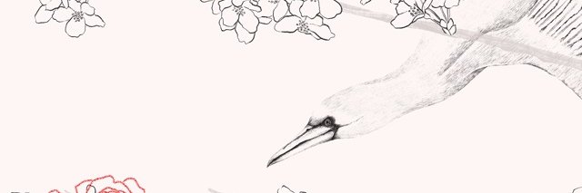 amvivas's profile banner image