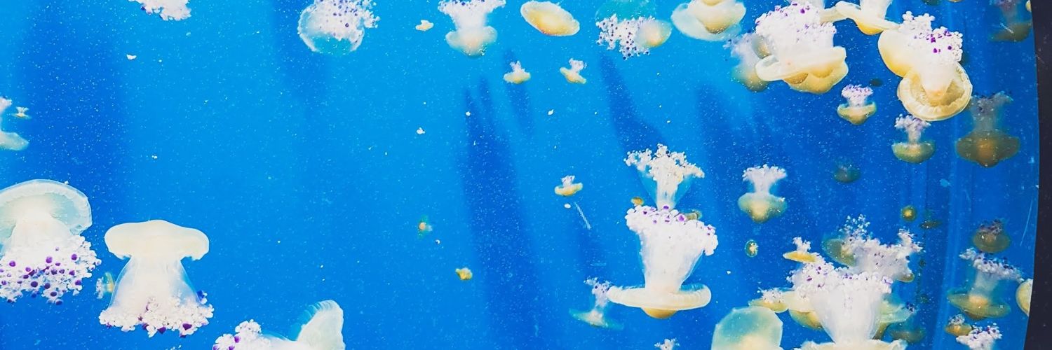 mrsoledadd's profile banner image