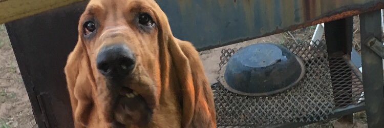 scotty_boy55's profile banner image