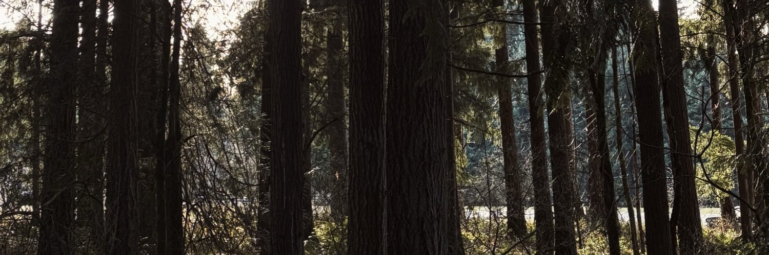 allicbndr's profile banner image